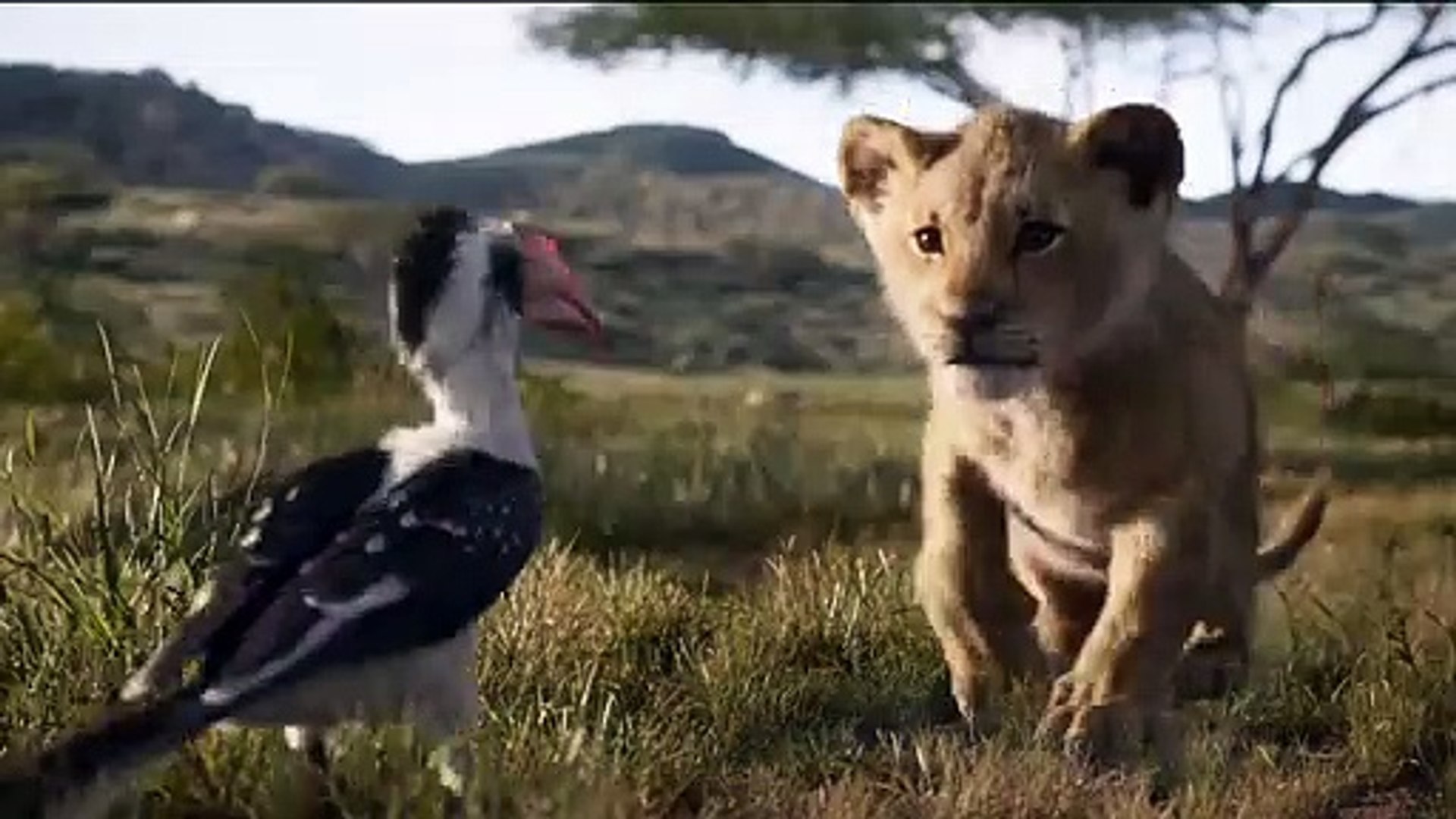 The lion king store 2019 full movie dailymotion
