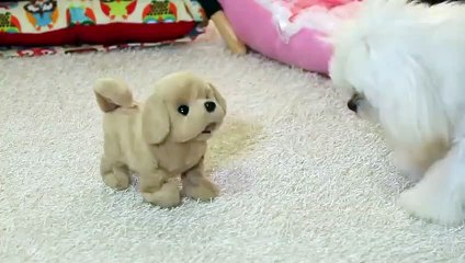 사하구출장타이 OiOW2671W8135｛카톡AQ52｝ぱ사하구출장안@마ぱ사하구출장샵ぱ사하구출장맛사지 ぱ사하구출장걸썰 사하구출장걸가격 사하구출장러시아 사하구외국인후불출장업소 사하구24시출장마사지샵'예약≠±×