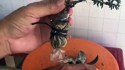 금산출장안마 -후불100%ョ OiOW2671W8135｛카톡ZHF526｝ 금산전지역출장안마 금산오피걸 금산출장마사지 금산안마 금산출장마사지 금산콜걸샵абв