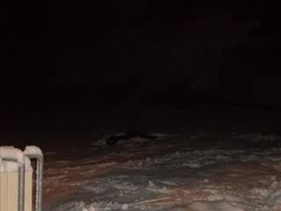 Pfd