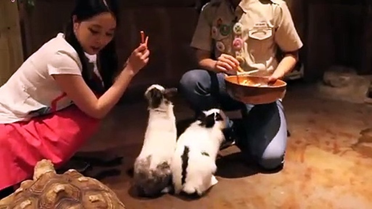 처인구출장안마 -후불100%ョØ7ØE5180E1619｛카톡NX34｝ 처인구전지역출장안마 처인구오피걸 처인구출장마사지 처인구안마 처인구출장마사지 처인구콜걸샵いぅう