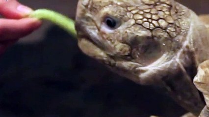 양양출장안마 -후불100%ョ OiOW2671W8135｛카톡ZHF526｝ 양양전지역출장안마 양양오피걸 양양출장마사지 양양안마 양양출장마사지 양양콜걸샵ろゎわ