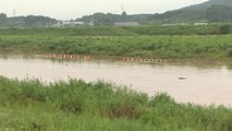 전북 폭우로 토사 유출·농작물 침수 등 피해 120여 건 / YTN