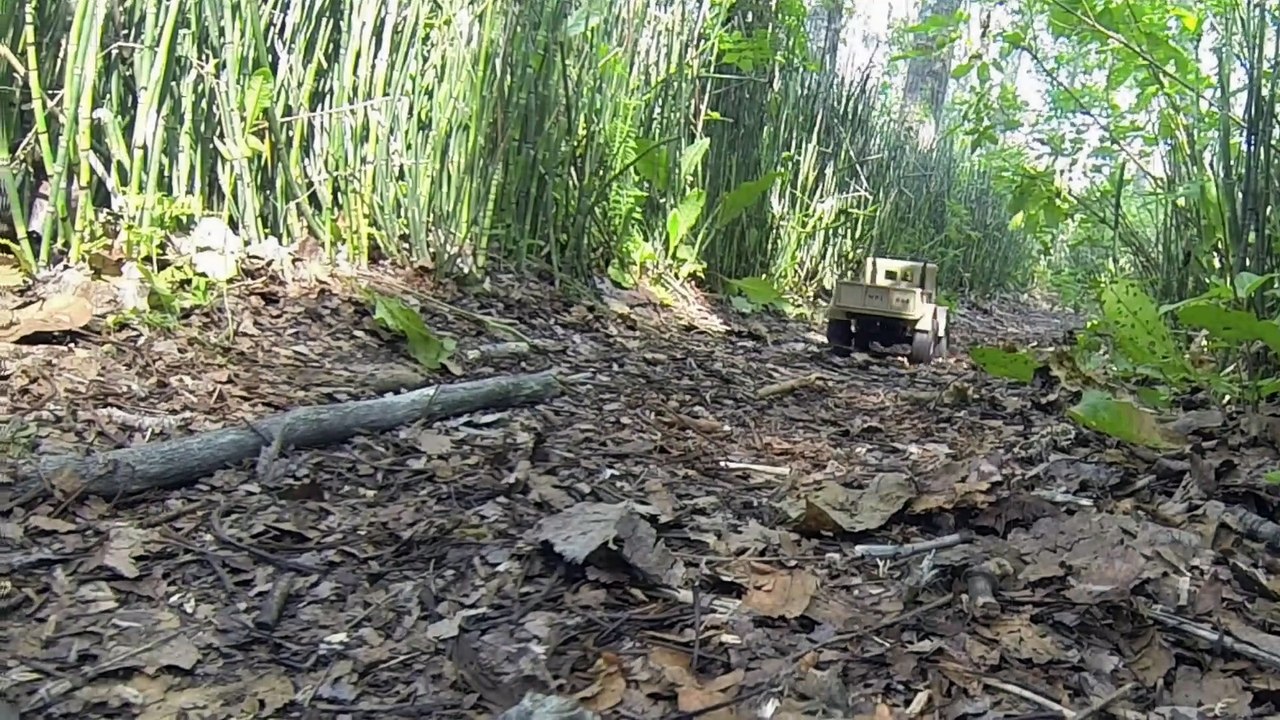 1/16 Quebec RC - Slow cruise in forrest