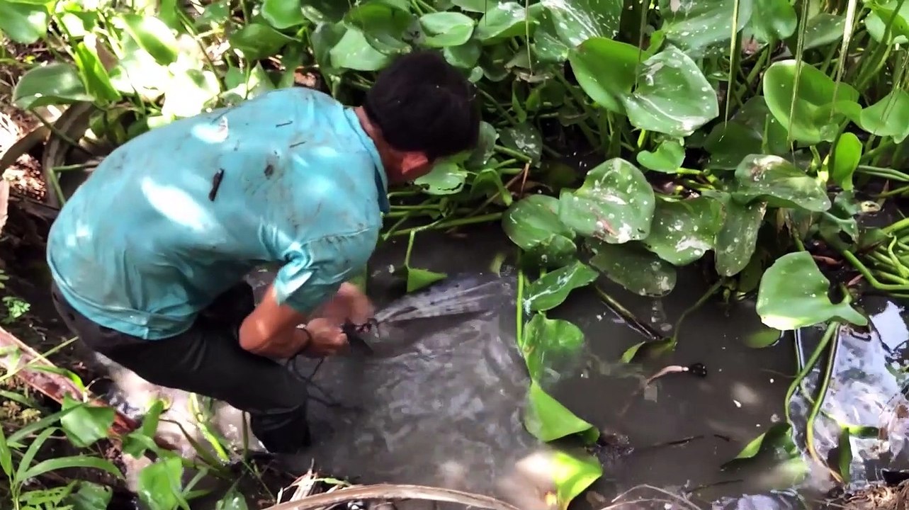 Try to take the dragging and leaving the abandoned tunnel for a long time, who would expect to catch all the fish