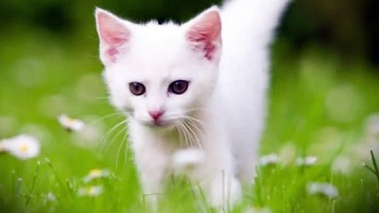 영덕출장안마 -후불100%ョO7Os7575s0062｛카톡DDR88｝ 영덕전지역출장안마 영덕오피걸 영덕출장마사지 영덕안마 영덕출장마사지 영덕콜걸샵♪⇔∃