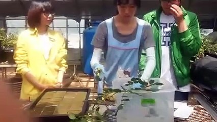 칠곡출장타이OiOE7362E3210｛카톡BB5858｝ぱ칠곡출장안@마ぱ칠곡출장샵ぱ칠곡출장맛사지 ぱ칠곡출장걸썰 칠곡출장걸가격 칠곡출장러시아 칠곡외국인후불출장업소 칠곡24시출장마사지샵'예약∑⇒∃