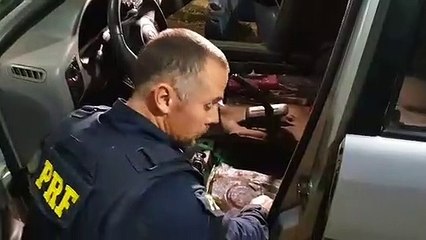 Homem que levava 57 kg de maconha em veículo usava pó de café para 'disfarça cheiro'