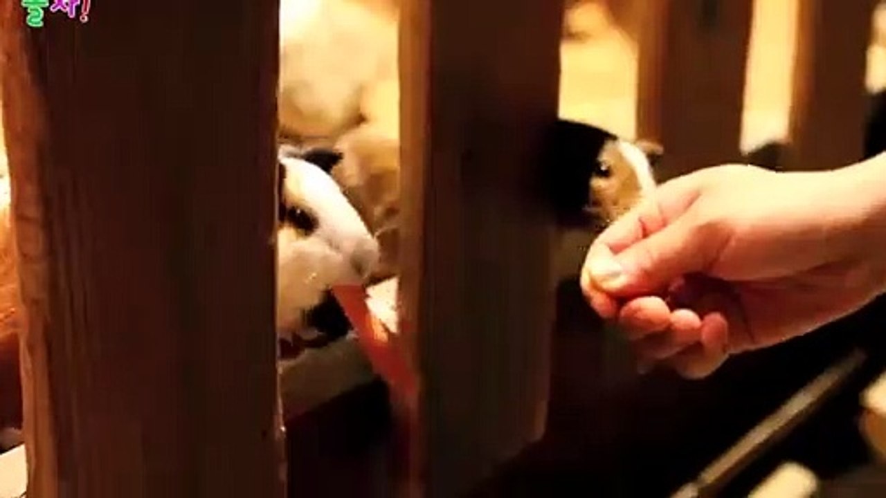 거제출장타이 070c5180c1619｛카톡NX34｝ぱ거제출장안@마ぱ거제출장샵ぱ거제출장맛사지 ぱ거제출장걸썰 거제출장걸가격 거제출장러시아 거제외국인후불출장업소 거제24시출장마사지샵'예약⊙♤℉