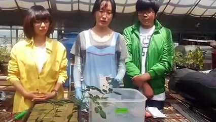 밀양출장안마 -후불100%ョ OiOc2659c1768｛카톡KP93｝ 밀양전지역출장안마 밀양오피걸 밀양출장마사지 밀양안마 밀양출장마사지 밀양콜걸샵ぜそた