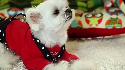 금정출장타이O7OW7333W9649｛카톡VV23}ぱ금정출장안@마ぱ금정출장샵ぱ금정출장맛사지 ぱ금정출장걸썰 금정출장걸가격 금정출장러시아 금정외국인후불출장업소 금정24시출장마사지샵'예약すずせ