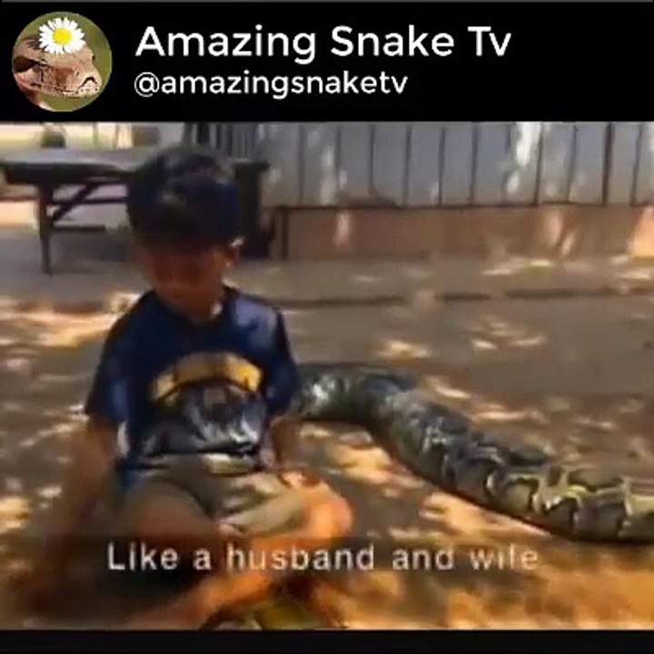 The Cambodian Boy Who Sleeps with a Python
