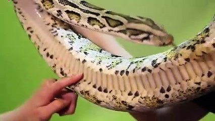 동두천출장타이O7Os7333s9649｛카톡LGT010｝ぱ동두천출장안@마ぱ동두천출장샵ぱ동두천출장맛사지 ぱ동두천출장걸썰 동두천출장걸가격 동두천출장러시아 동두천외국인후불출장업소 동두천24시출장마사지샵'예약опр