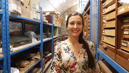 Besançon : Apolline Lefort, conservatrice du musée d'histoire naturelle à la Citadelle