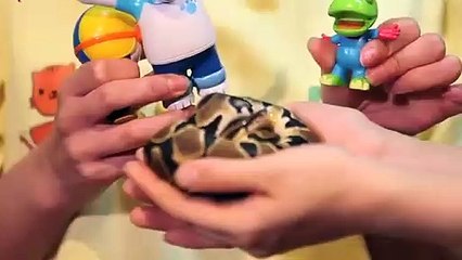 은평출장타이 O7OW7301W9649｛카톡CS69｝ぱ은평출장안@마ぱ은평출장샵ぱ은평출장맛사지 ぱ은평출장걸썰 은평출장걸가격 은평출장러시아 은평외국인후불출장업소 은평24시출장마사지샵'예약⊙◈