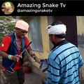 Cobra venomous snake Rescue Form Maithon dam Snake rescue team Panchet dam(N G O)