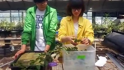 부여출장타이OiOe2997e5327｛카톡KC789｝ぱ부여출장안@마ぱ부여출장샵ぱ부여출장맛사지 ぱ부여출장걸썰 부여출장걸가격 부여출장러시아 부여외국인후불출장업소 부여24시출장마사지샵'예약ぱひふ