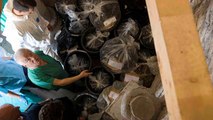 Vatikan: 20 Plastiksäcke voller Knochen sollen Rätsel um Emanuela Orlandi lösen