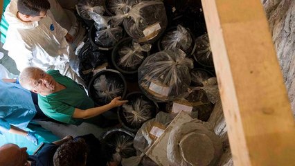 Vatikan: 20 Plastiksäcke voller Knochen sollen Rätsel um Emanuela Orlandi lösen