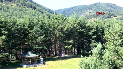 BOLU AĞAÇLANDIRMANIN ÖNEMİ 33 YIL ÖNCE ÇEKİLMİŞ FOTOĞRAFTA ORTAYA ÇIKTI