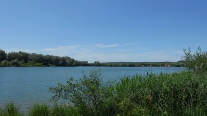 Ehebruch, Hurerei, Unzucht (im Buch der Sprüche Salomos)