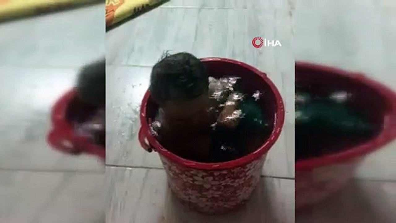 Adanalı bebeğin kovanın içinde serinlerken sevimli halleri