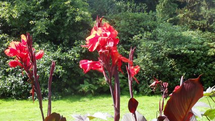 Wenn Gott Dich fragt!