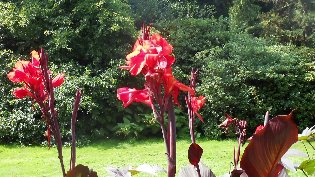 Wenn Gott Dich fragt!