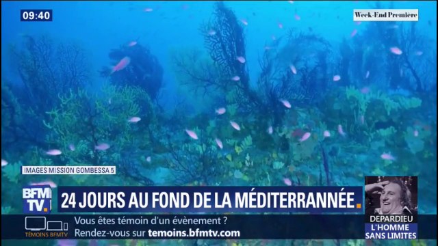 Les quatre plongeurs de la mission Planète Méditérranée vont remonter sur terre ce dimanche