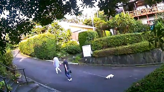 EDR JULY #24 2019 Noisy Neighbor