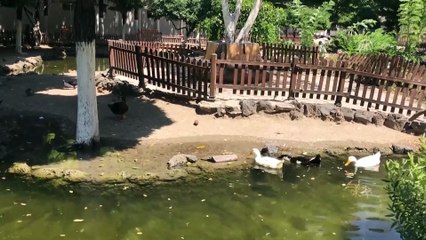 Doğu Akdeniz'de sıcak hava - HATAY