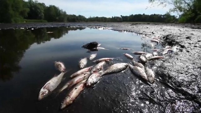 Germania: in Bassa Sassonia si essiccano laghi e si riducono i livelli dei fiumi