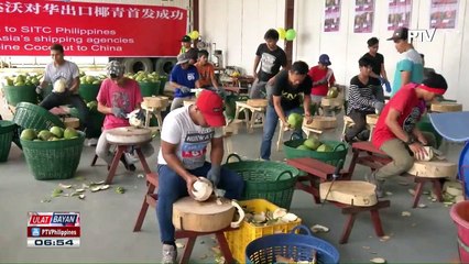 Shipment ng mga buko na iba-biyahe sa China, nagsimula na