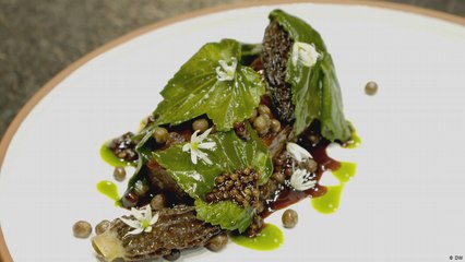 أول طاه بولندي يحصل على نجمة