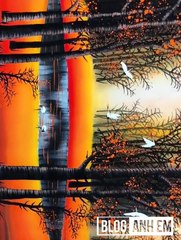 Viral Videos million view and muddy moments #2019  you should see p117