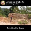 Primitive Dig Snake in snake hole