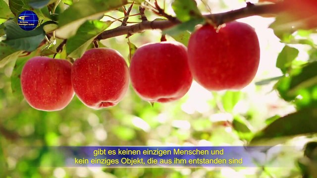 Eine Lesung der Worte des Allmächtigen Gottes | Gott Selbst, der Einzigartige I (Auszug III)