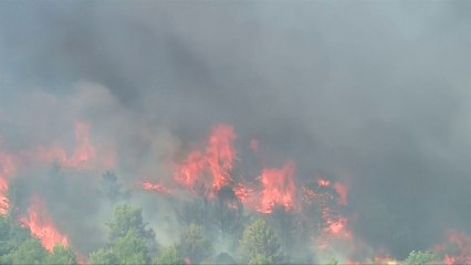 En Croatie, de violents incendies se propagent le long de la côte Adriatique et s'approchent des maisons
