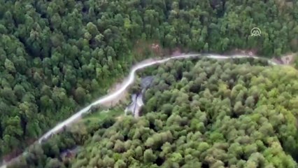 Gürcistan'da trafik kazası: 6 ölü - TİFLİS