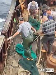 Viral Videos million view and muddy moments #2019  you should see p124