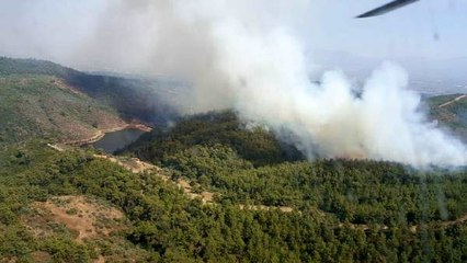 Torbalı'da çıkan orman yangını söndürülmeye çalışılıyor