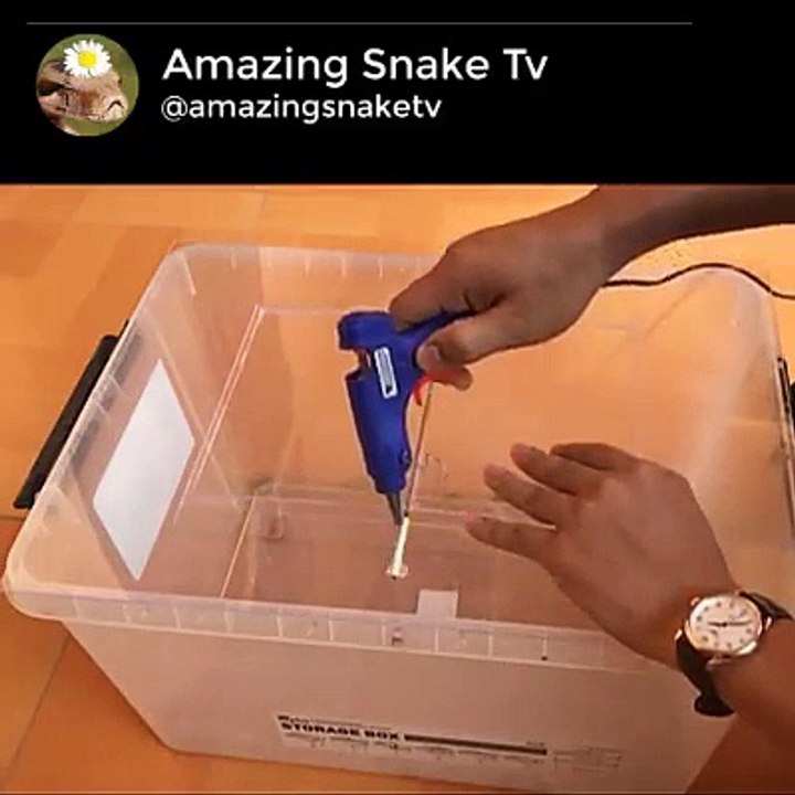 Good idea Rat Trap  Too Many Mice in Trapped  You Can Try  Best Mouse Trap  House Mice