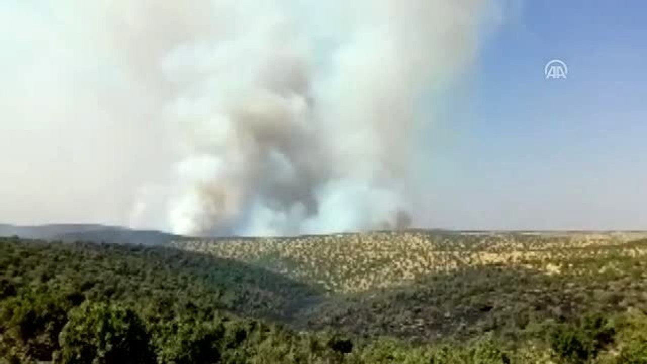 Midyat'ta orman yangını