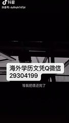 QQ/V信29304199国外文凭圣文森山大学毕业证成绩单公证offer 雅思成绩单MSVU毕业证成绩单学历认证留信网认证使馆认证公正MountSaintVincentUniversity