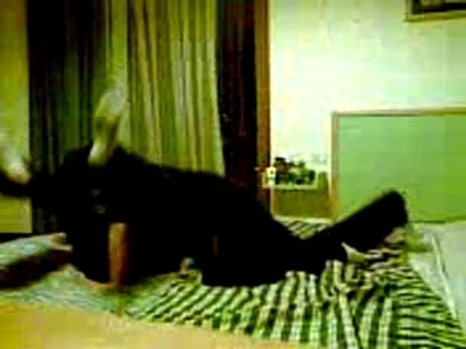 World's Strongest Slam
