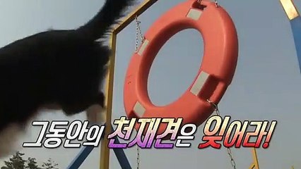 의창구출장안마 -후불100%ョO7OW7333W9649｛카톡VV23} 의창구전지역출장안마 의창구오피걸 의창구출장마사지 의창구안마 의창구출장마사지 의창구콜걸샵‡♭