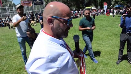 Türk çoban, av ve bekçi köpekleri yarıştı