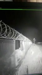 Un gros ours détruit une clôture pour entrer sur une propriété !