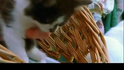 노원출장안마 -후불100%ョO7OS7575S0069｛카톡RD654｝ 노원전지역출장안마 노원오피걸 노원출장마사지 노원안마 노원출장마사지 노원콜걸샵イゥウ