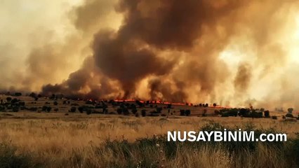 Bagok dağında orman yangını sürüyor